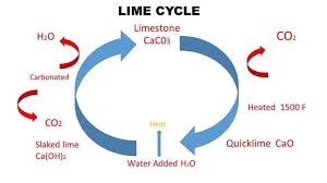 The Key Difference Between Quicklime And Hydrated Lime Is That The Quicklime Or Burnt Lime Contains Calcium Oxide Whereas The Hyd Chemistry Ion Exchange Lime