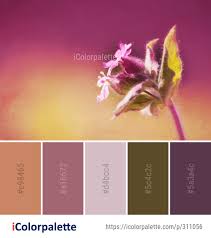 Color Palette Ideas From Pink Flower Macro Photography Image Green Colour Palette Color Palette Macro Photography Images