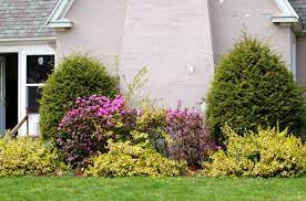 Allow adequate spacing between plants to prevent overcrowding. 18 Examples Of Foundation Planting Beds