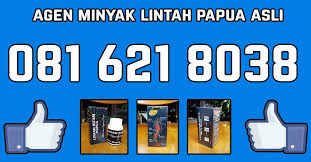 Hasil gambar untuk minyak lintah papua di karawang