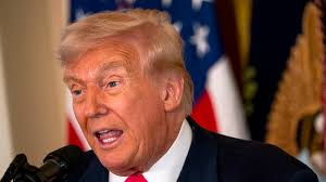 Romanchuk wins men's wheelchair race at NYC Marathon, Scaroni wins women's  event