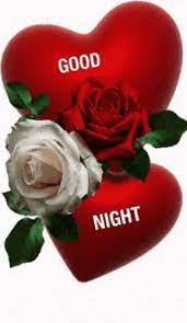 Check spelling or type a new query. Good Night Rose Gif Goodnight Rose Flowers Discover Share Gifs Good Night Flowers Romantic Good Night Lovely Good Night