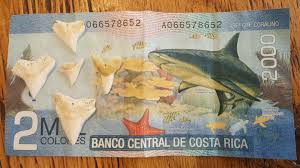 They appear on beaches, prairies, mountaintops, and deserts, as well as in riverbeds. Collecting Bull Shark Teeth In Costa Rica