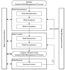 Quality Risk Management Flow Chart Www Bedowntowndaytona Com