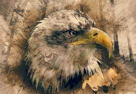 Eagle Tattoo Ideas And Eagle Tattoo Meanings On Whats Your Sign