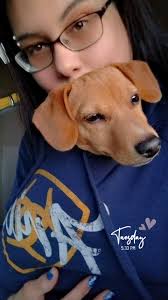 A sad start but an amazing future. We found Twigg in a shoe box at a store  back in October. He is in great health and one happy puppy. Twigg is the