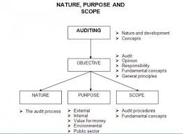 The Nature Purpose And Scope Of An Audit And Review