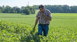 On peut aider les gens. En Cultivant En Bio J Ai Redecouvert Mon Metier Interview D Un Agriculteur Bio A Grande Echelle Bio A La Une