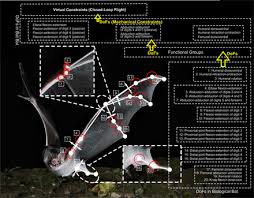 As the leading smart robotic arm solution provider, dobot is constantly devoted to. Soon Jo Chung Robert Mcgrath S Blog