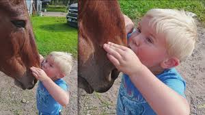 Your Good News: LouAnn Lea, Gail Olson, Michele Greig