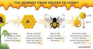 Bee Blanket Archives Powerblanket