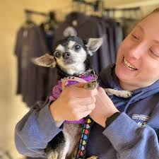 Frosted Faces Foundation