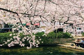 Badan saya ada besi, bermula dari tul4ng p1nggul saya sehingga. Pakcik Almost Botak Makan Bento Tepi Sungai Tak Perasan Pu Flickr