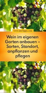 Pin Auf Haus Und Gartentipps