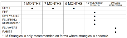 Horse Vaccine Chart Www Bedowntowndaytona Com