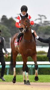 5,054 likes · 56 talking about this. Alcvgb1oojlbom