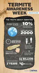 Maybe you would like to learn more about one of these? How To Spot And Stop Termite Infestations Before They Take Hold Business Wire