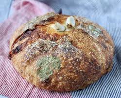 Garlic And Cheese Country Bread Garlic Gruyere Pain De Campagne Karen S Kitchen Stories