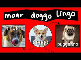 Doggo Chart Part 2