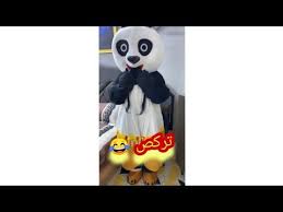 باندا حبيبه سجاد قاسم يريد جبس منها فدوا كيوت Youtube Mickey Mouse Pluto The Dog Character