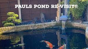 How many koi in 3000 gallon pond. 3000 Gallon Koi Pond Re Visit Amazing Koi Bonsai Youtube