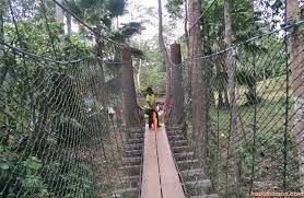 Maybe you would like to learn more about one of these? Pertama Kali Bawa Family Berkunjung Ke Taman Botani Negara Shah Alam