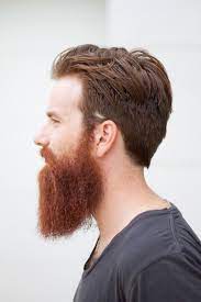 Beardsftw Follow Beardsftw Hair And Beard Styles Beard No Mustache Mens Facial Hair Styles
