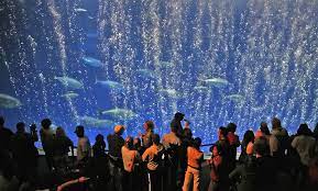 How do you do fellow squids, our mission is to inspire monterey bay aquarium‏подлинная учетная запись @montereyaq 4 июн. Monterey Bay Aquarium Postpones Reopening Monterey Herald