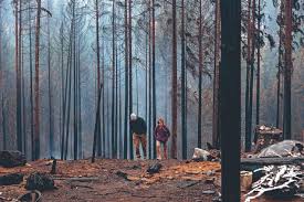 Mi abuelo (trabajar) en el campo; Incendios En Chubut No Hay Datos De Que Las Llamas Se Hayan Provocado Ni Sospechosos
