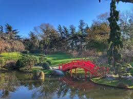 Parfaite Journee Pour Un Footing 7km En 40 Min En Version Fractionnee Courir A Travers Le Jardin Japonais De Compans Toul In 2020 Instagram Painting Art