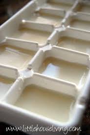 Freezing Milk Ice Cubes Freezing Milk Milk Recipes Leftover Milk
