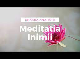 157 172 просмотра • 25 июл. Video Vindecare