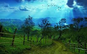 We did not find results for: 48 8k Ultra Hd Nature Wallpaper On Wallpapersafari