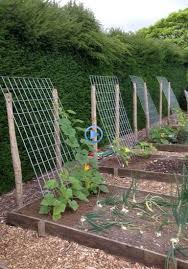Herbs Vegetable Garden Paths Vegetable Garden Paths Garden Paths And Walkwa In 2020 Vegetable Garden Design Backyard Vegetable Gardens Small Vegetable Gardens