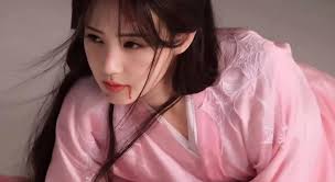 Fox Spirit Matchmaker Sword and Beloved Cheng Yi as Wangquan Fu Gui ♥️