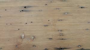 Top keywords % of search traffic. Wood Of The Week Wormy Chestnut Dp Juza Woods Fixtures