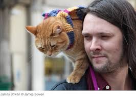 Amazon.com: Bob, der Streuner: Das Buch zum Kinofilm: 9783404609345: Bowen,  James: ספרים