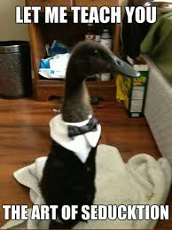 Daily Funny Collection 498 34 Pics Daily Funny Bones Funny Funny