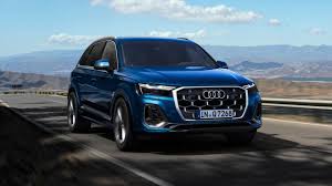 Image result for Waitomo Blue 2024 Q7