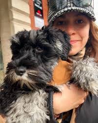 Sophia Maclean's Instagram, Twitter & Facebook