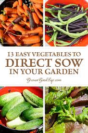 13 Easy Vegetables To Direct Sow