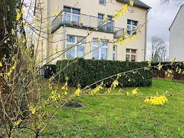 Wlan, idyllischem garten, sauna, pool, grillplatz. 3 Zimmer Wohnung Zu Vermieten Viereckweg 80 13125 Berlin Buch Pankow Mapio Net