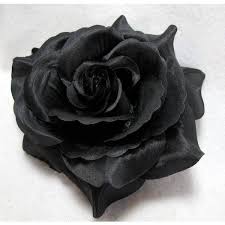 Black triple flower floral wrap cute hair head band alice. Black Flower Hair Accessories Off 79 Online Shopping Site For Fashion Lifestyle