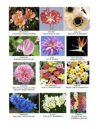 I Love The Idea Of Bouquets Designed To Say Something Here Is Page One Of Common Flowers And Their Meanings Flower Meanings Flowers Alstroemeria