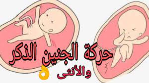 كذلك، من الممكن أن تبدئي بالشعور الان بغثيان الحمل. Ø­Ø±ÙƒØ© Ø§Ù„Ø¬Ù†ÙŠÙ† Ø§Ù„Ø°ÙƒØ± ÙˆØ§Ù„Ø£Ù†Ø«Ù‰ ÙÙŠ ÙƒÙ„ Ø§Ù„Ø´Ù‡ÙˆØ± Ù‡ØªØ¹Ø±ÙÙŠ Ø¨Ù†ÙØ³Ùƒ Ø­Ø§Ù…Ù„ ÙÙŠ Ø¥ÙŠÙ‡ Youtube