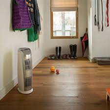 How do air purifiers help with mold? 7 Best Air Purifiers For Mold Reviews Buying Guide 2020