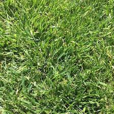 Pin On Garden Landscape Ideas