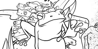 Offers products that are useful to jehovahs witnesses in their personal lives and ministry. Picture Activities Bible Stories