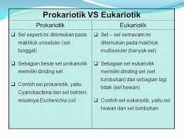 We did not find results for: Contoh Sel Hewan