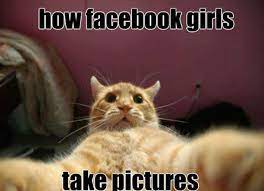 We're bringing you the best images of funny pets, weird and cute animals. 30 Funny Animal Captions Part 9 30 Pics Cat Selfie Funny Animal Memes Animal Captions